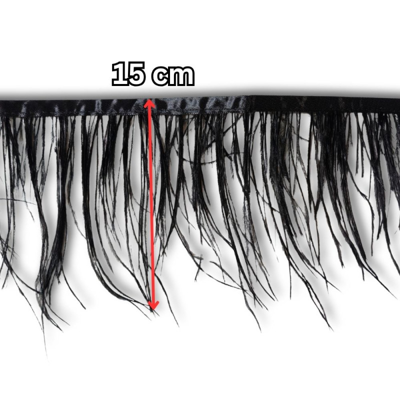 Nojevo perje / 15 cm / Crna