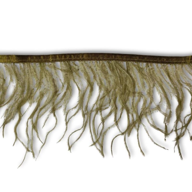 Nojevo perje / 13 cm / Maslinasta