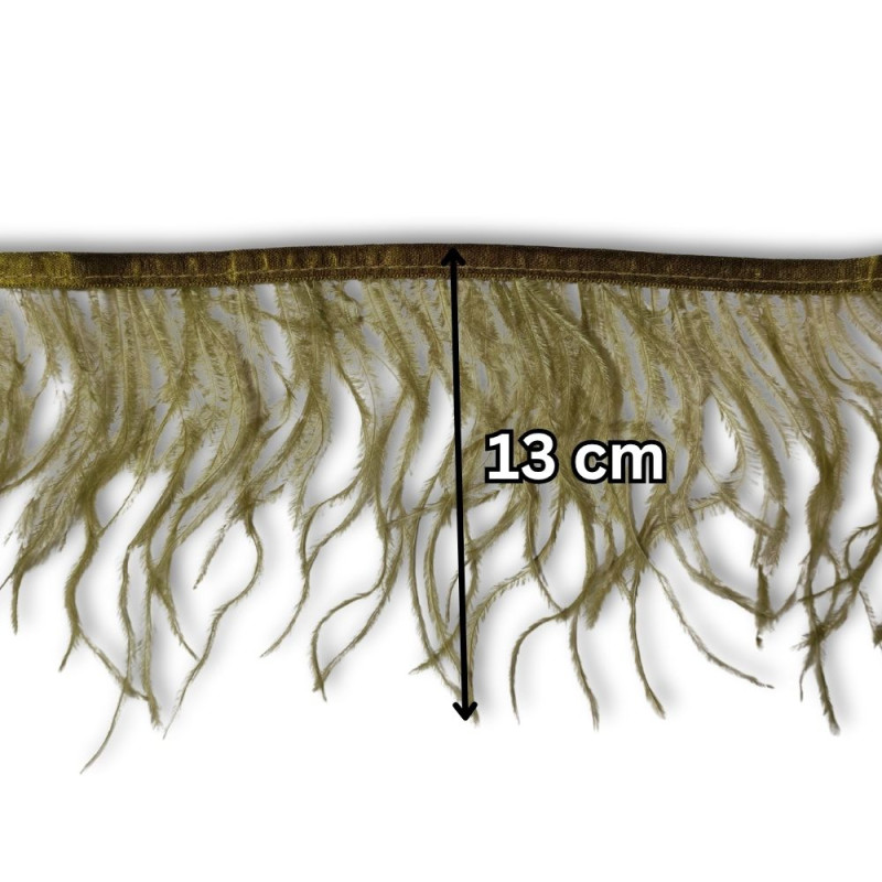 Nojevo perje / 13 cm / Maslinasta