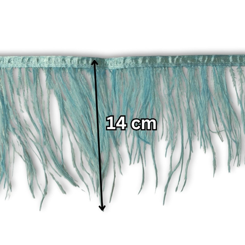 Nojevo perje / 14 cm / Tirkizna