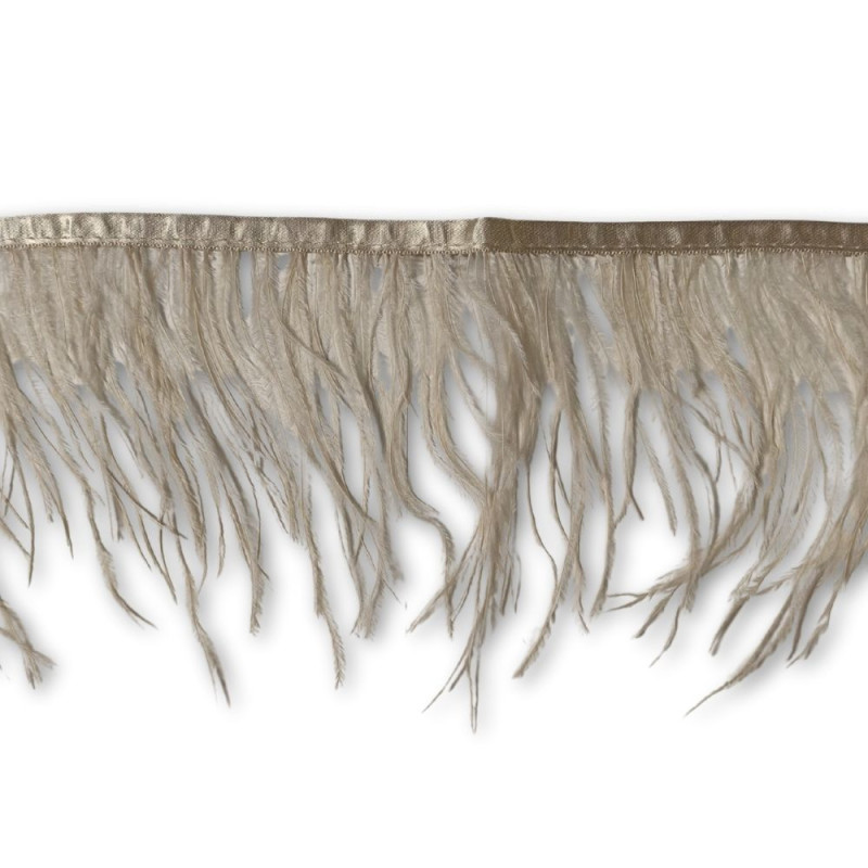 Nojevo perje / 15 cm / Bež