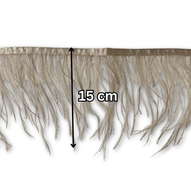 Nojevo perje / 15 cm / Bež