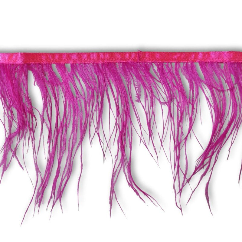 Nojevo perje / 15 cm / Ciklama