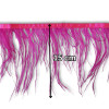 Nojevo perje / 15 cm / Ciklama
