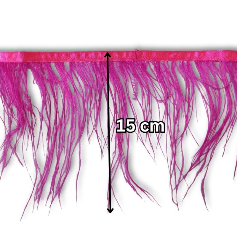 Nojevo perje / 15 cm / Ciklama