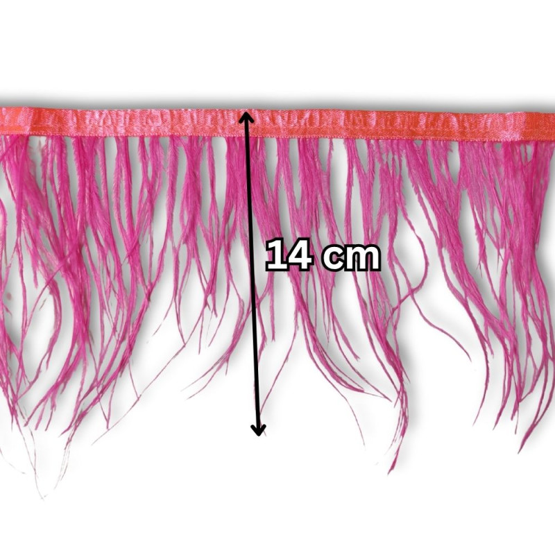 Nojevo perje / 14 cm / Malina