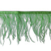 Nojevo perje / 15 cm / Biljna zelena