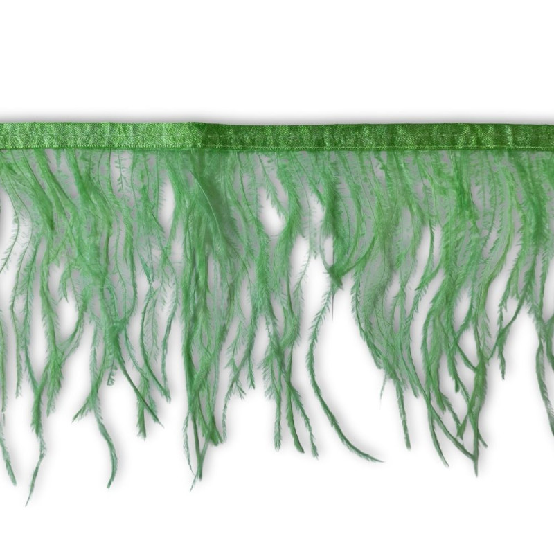 Nojevo perje / 15 cm / Biljna zelena