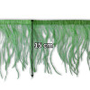 Nojevo perje / 15 cm / Biljna zelena