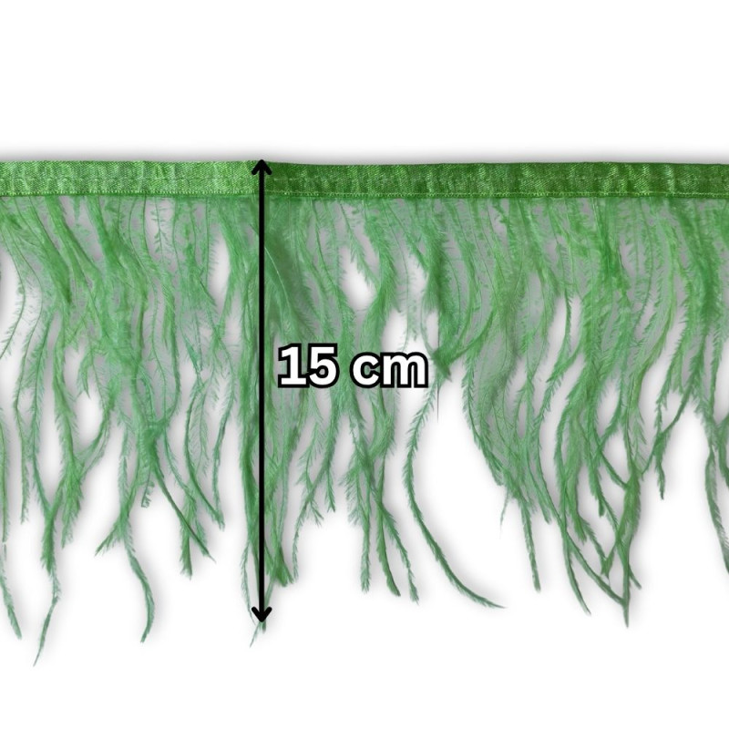 Nojevo perje / 15 cm / Biljna zelena