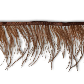 Nojevo perje / 15 cm / Topla braon