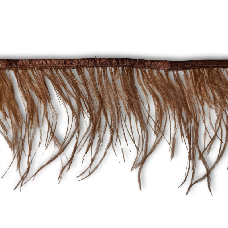 Nojevo perje / 15 cm / Topla braon