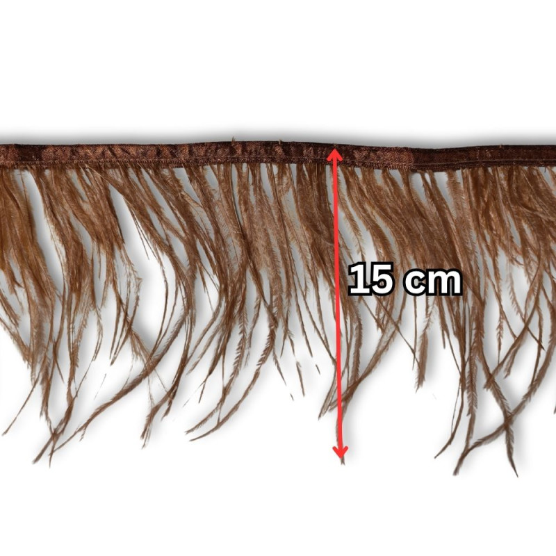 Nojevo perje / 15 cm / Topla braon