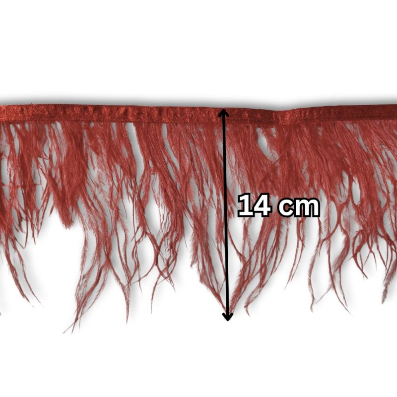 Nojevo perje / 14 cm / Rustična crvena