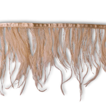 Nojevo perje / 15 cm / Kajsija