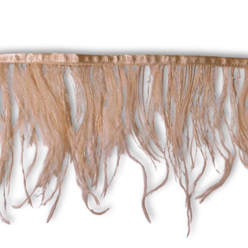 Nojevo perje / 15 cm / Kajsija