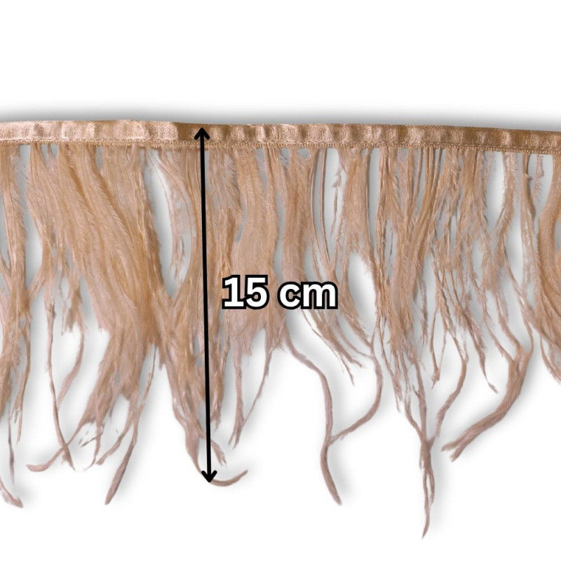 Nojevo perje / 15 cm / Kajsija