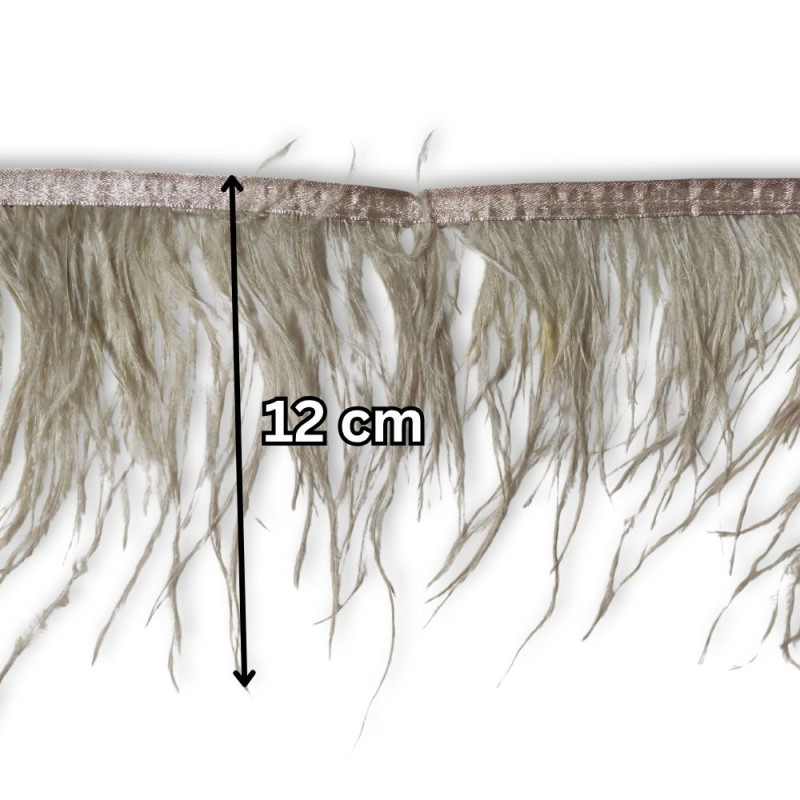 Nojevo perje / 12 cm / Siva