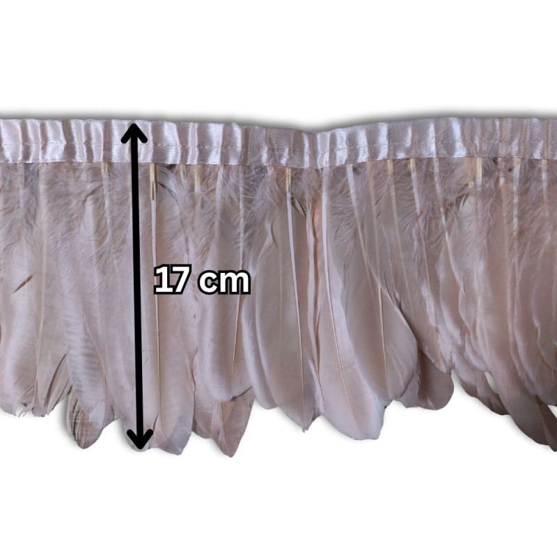 Gavranovo perje / 17 cm / Roze