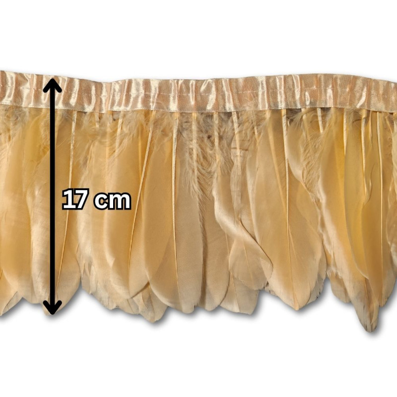 Gavranovo perje / 17 cm / Narandžasta