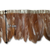 Gavranovo perje / 17 cm / Braon