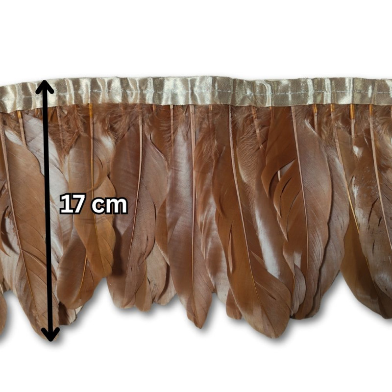Gavranovo perje / 17 cm / Braon