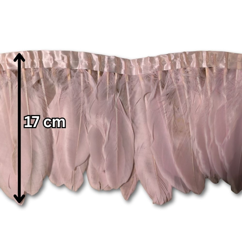 Gavranovo perje / 17 cm / Roze