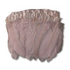 Gavranovo perje / 17 cm / Roze Gavranovo perje / 17 cm / Roze