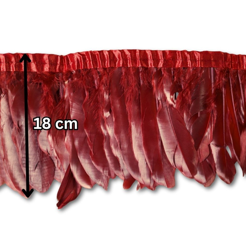 Gavranovo perje / 18 cm / Crvena