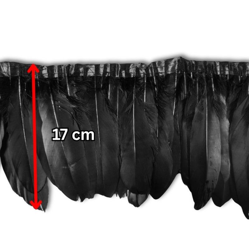 Gavranovo perje / 18 cm / Crna