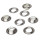 Ringlice